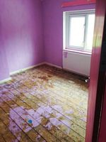 B & M Davies, Property Clearance and Light Removals, Gwynnedd, Bangor, Anglesey, North Wales